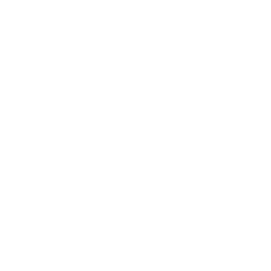 Icon of a delivery truck with motion lines and a lightning bolt on its side, symbolizing fast and efficient hotshot load service. The design is in white on a transparent background.